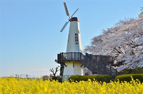 埼玉県さいたま市 岩槻区で人気のピラティスレッスン12選 (2024年12月更新) ゼヒトモ【Zehitomo】