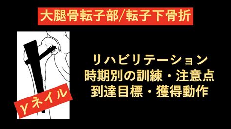 大腿骨転子部骨折の際に施術されるCHSとγ-ネイルの違いを教 …