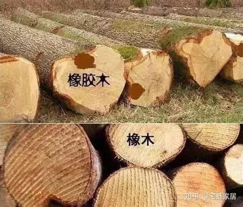 如何区分橡木和橡胶木