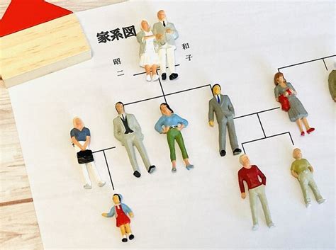 家庭票の家族構成は？