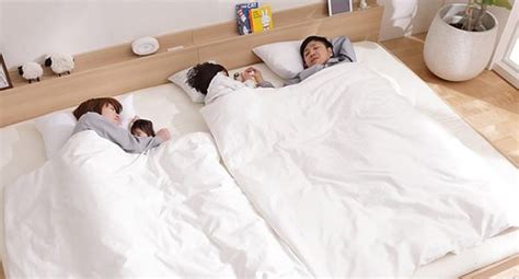 小さいうちは一緒のベッドで寝ていたけれど 今ではキングサイズのベッドを1匹で占領している状態だという ギネス記録更新 世界一 背の高い犬 Naver まとめ