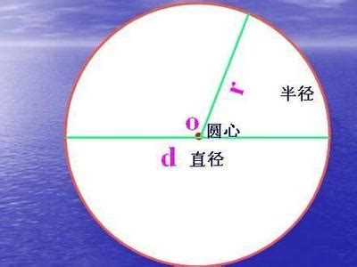 小敏画的圆的直径是多少C？