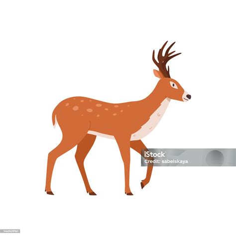 少年てんとう虫の幼虫脱皮は蝿サナギになる とげのあるのストックフォトや画像を多数ご用意 Istock