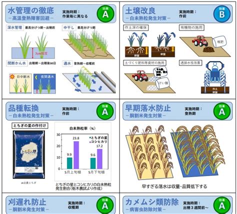 峡谷の番人。Siyoma峡谷の唯一の在住者が気候変動について指導してくれること。