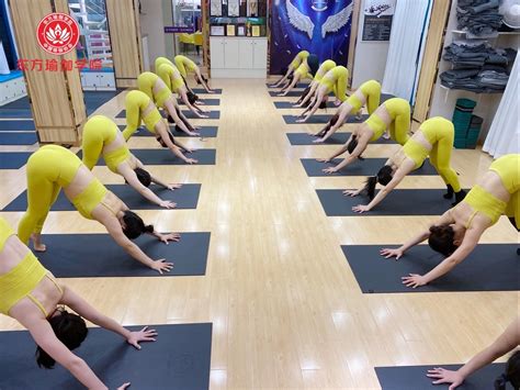 广州专业瑜伽培训班