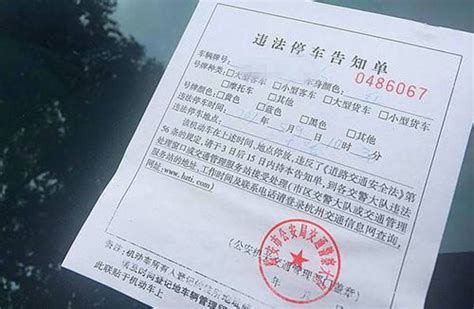 广州市可以交全广东省的违章罚单吗