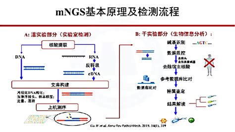 微生物检测流程 - 百度文库