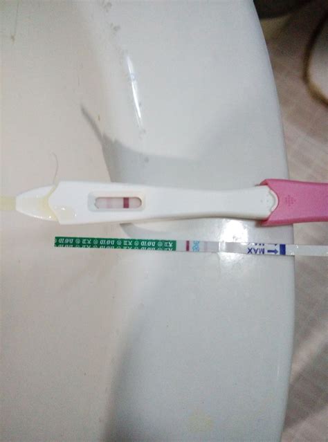 怀孕初期测出阴性