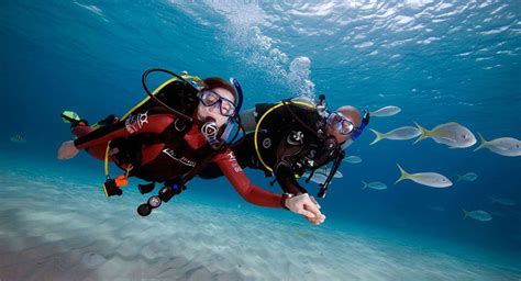 想学习潜水，悠蓝潜水有没有潜水培训课程？