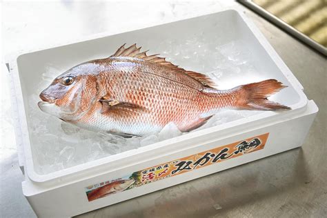 愛媛の特産品が生んだ「みかん魚」 愛媛百貨選 愛媛の逸品を …