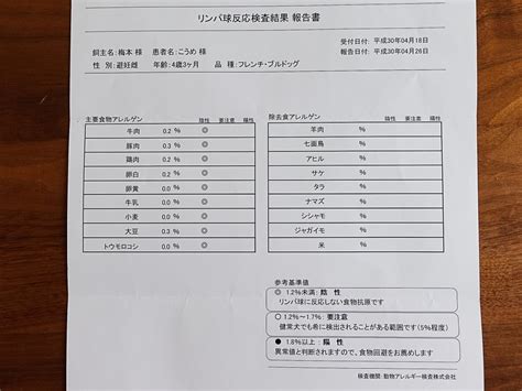愛犬こうめさんのアレルギー検査の結果を公開 料金から項目の信憑性まで血液検査でわかったこと うめのみブログ