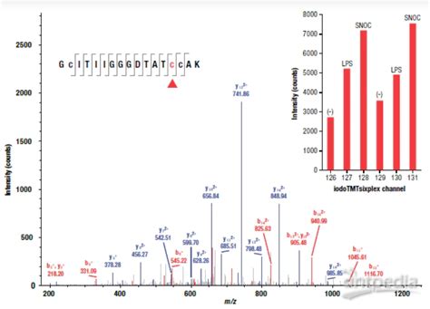 技术升级 鹿明生物正式推出TMTpro 16 plex蛋白组学研究技术