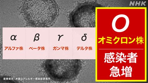 新型コロナ感染1万人超 オミクロン株わかってきたこと【1/12】 新型コロナウイルス …