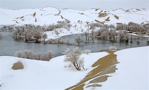 新疆今年怎么下雪这么少呢？