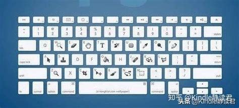 最实用的10个电脑常用快捷键！Ctrl+Z的鬼才反向了解一下！ - 知乎