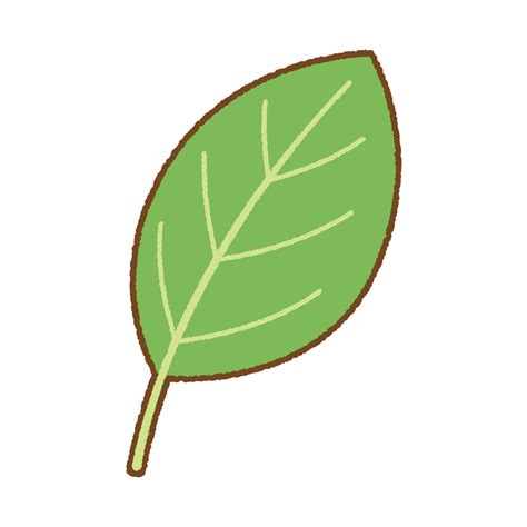 木の葉 葉っぱのイラスト 無料イラスト フリー素材