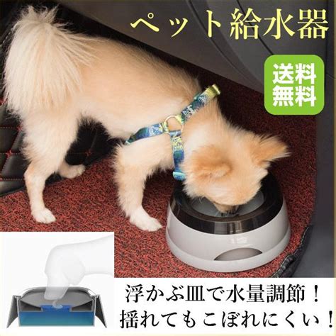 楽天市場 犬 水 入れ こぼれ ないの通販