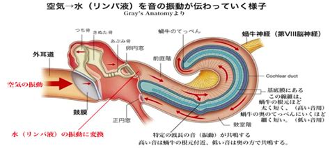 正円窓の構造は？