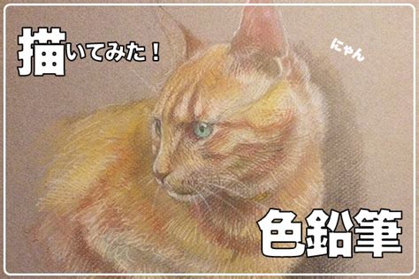 毛の表現って実は簡単 色鉛筆を使った猫の描き方 画材暮らしと絵かきの道