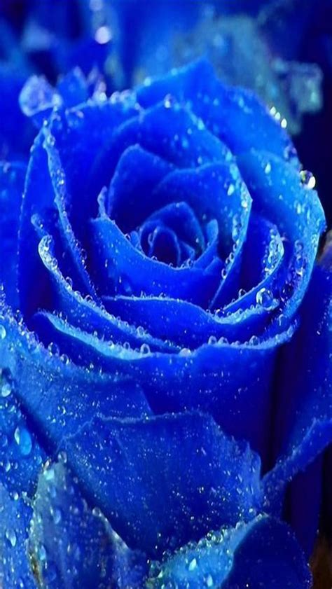 水平ロールアップライン付きの青い接着壁紙 無料の写真