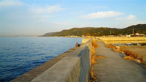 淡路島 翼港 ファミリーフィッシング：橋を渡ると、そこは･･･。淡路島・1：SSブログ