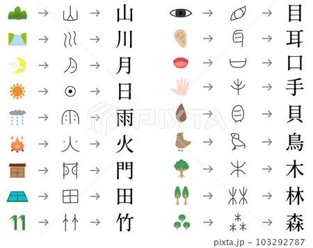 漢字野の成り立ちは？