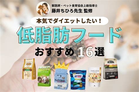 犬の 肥満 ダイエット におすすめ 人気のドッグフードランキング Biglobeレビュー