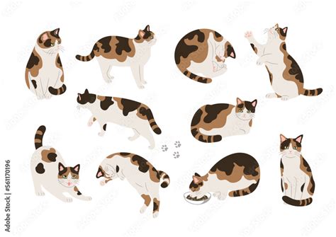 猫 ポーズ イラスト素材 Istock