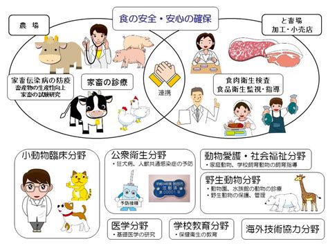 産業動物臨床獣医師の仕事内容は？