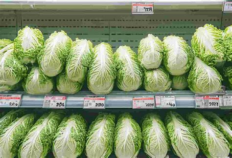 白菜の値段
