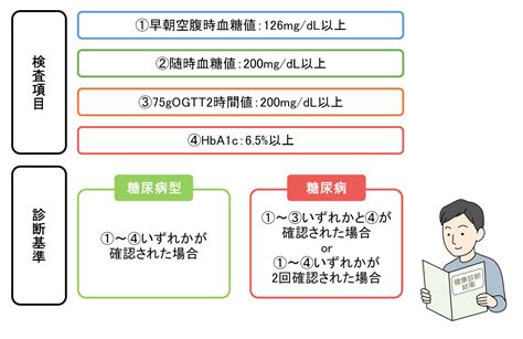 糖尿病の検査や治療法についての資料ダウンロード（インスリン …