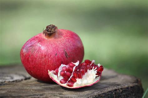 網路上關於pomegranate meaning-在PTT/MOBILE01/Dcard上的升 …