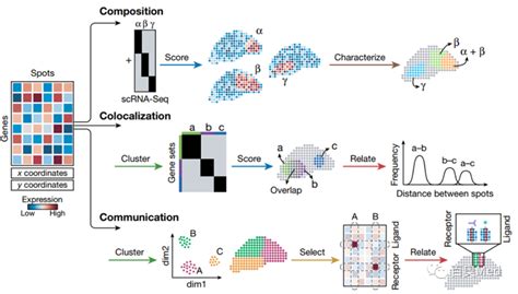 综述盘点 Nature：利用空间转录组技术探索组织结构 - 简书