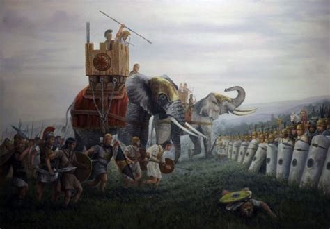 罗马全面战 大象
