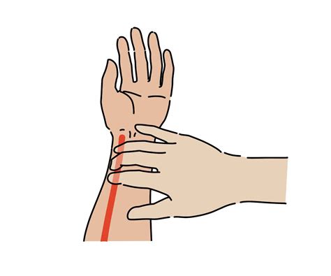 脈拍を下げる呼吸法