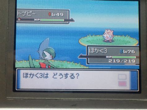 臆病天の恵み特性２ 色トゲピー用ポケトレ連鎖 何かまもるものはありますか