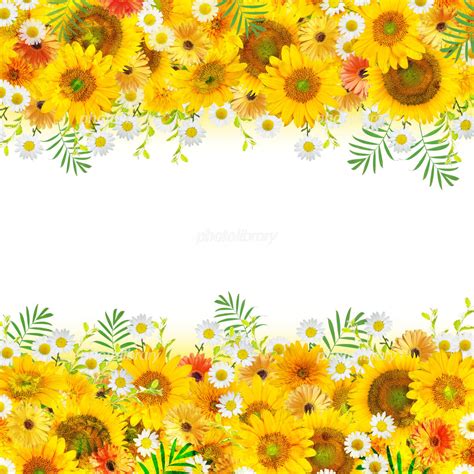 花のコラージュ 写真素材 3262592 フォトライブラリー Photolibrary