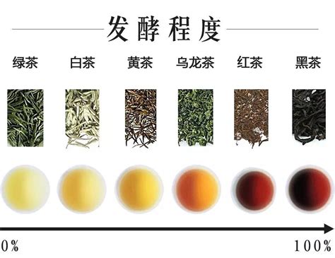 茶叶的分类及代表