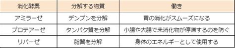 製パンで使用している酵素の種類について パン大学【パンと科 …