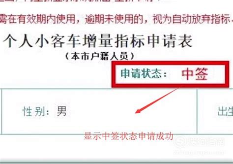 请问如何查询天津市小型客车申请号牌是否成？