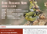 資料集 バードリサーチ / Bird Research