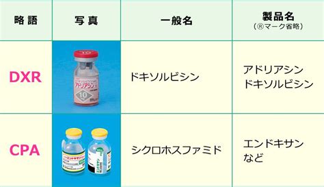 資料1 ドキソルビシン（乳癌AC療法） - 厚生労働省