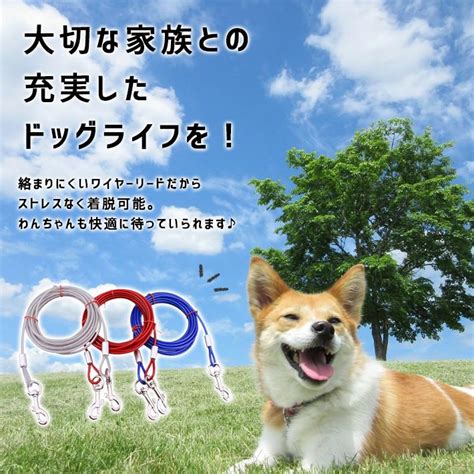 送料無料 係留 犬 リード ロングタイプ 5m 全3色 ワ 福袋専門店 七福ふくふく福袋 ポンパレモール