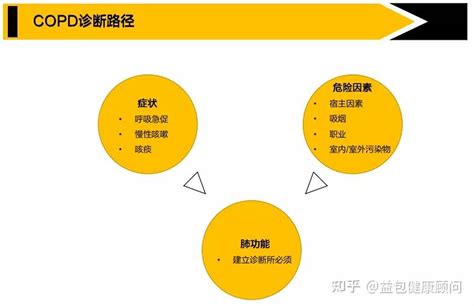 重磅！GOLD 2024版COPD 指南图文梳理｜世界慢阻肺日