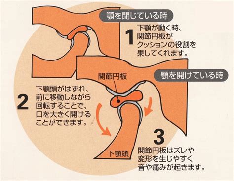 顎関節症に関連する診療科の木更津市の病院・クリニック一覧