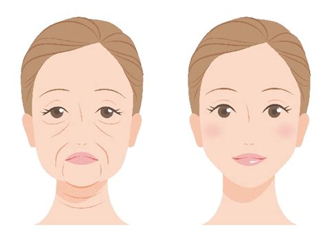 顔のたるみの原因と対策。5つの原因別のケア方法 ハルメク美 …