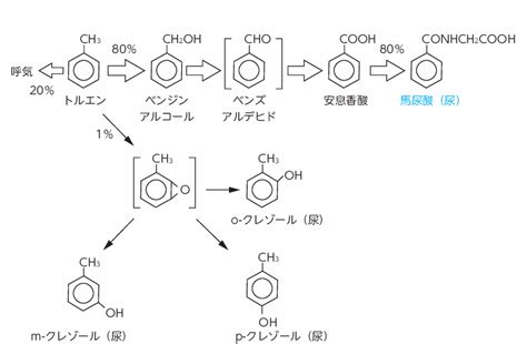 馬尿酸 - Wiktionary