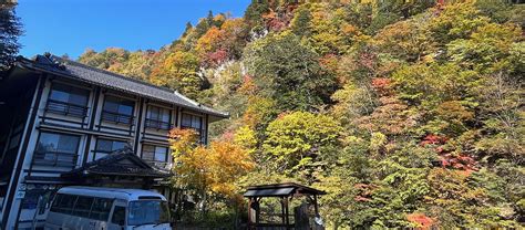 鬼怒沼湿原 お気楽隊とあきっこさんと行く加仁湯温泉 日光 年10月 猫のタイ と 山のこと