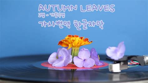 가사 + 한국어 번역 - autumn leaves 가사 - 1Bgk2
