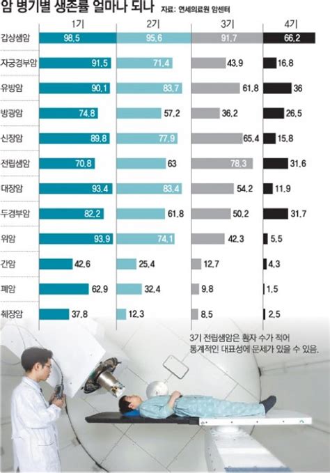 간암 4 기 생존율